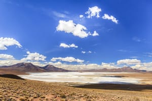 Codelco y SQM desarrollarán y explotarán en conjunto el litio en Salar de Atacama